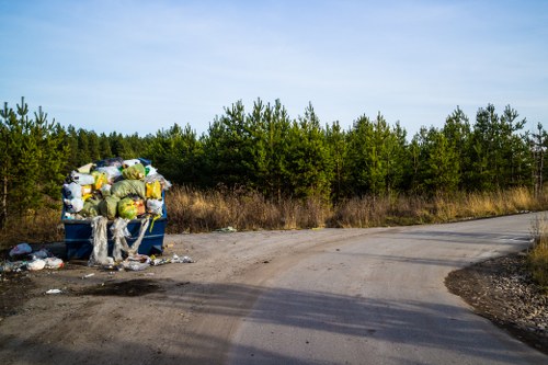 Environmental impact of improper waste disposal